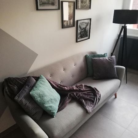 La Casa D'Ernestine Apartment Колмар Екстериор снимка