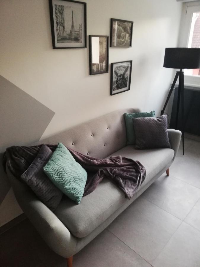 La Casa D'Ernestine Apartment Колмар Екстериор снимка